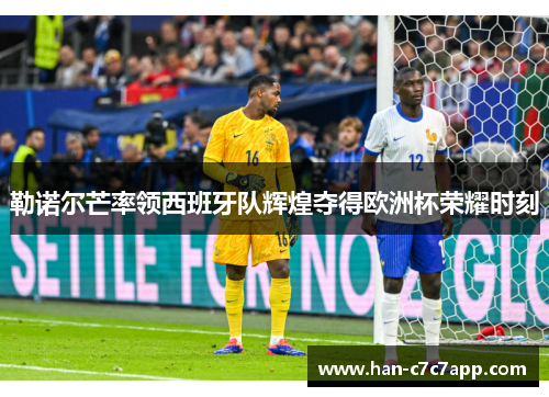 勒诺尔芒率领西班牙队辉煌夺得欧洲杯荣耀时刻