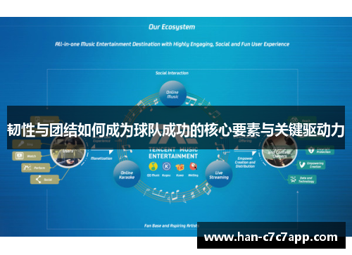 韧性与团结如何成为球队成功的核心要素与关键驱动力